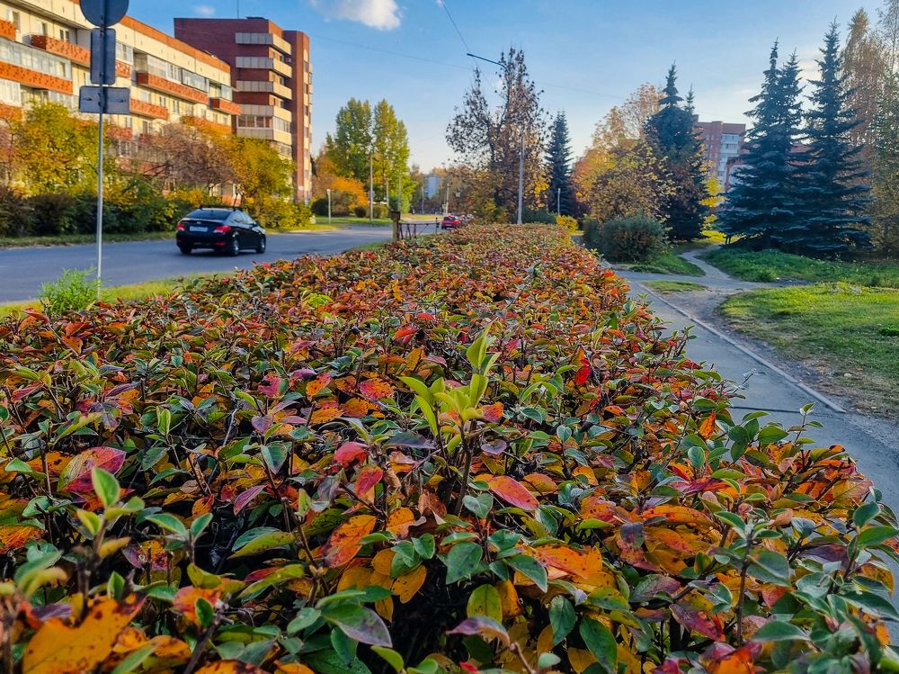 Photograph by ANDREY BATALOV