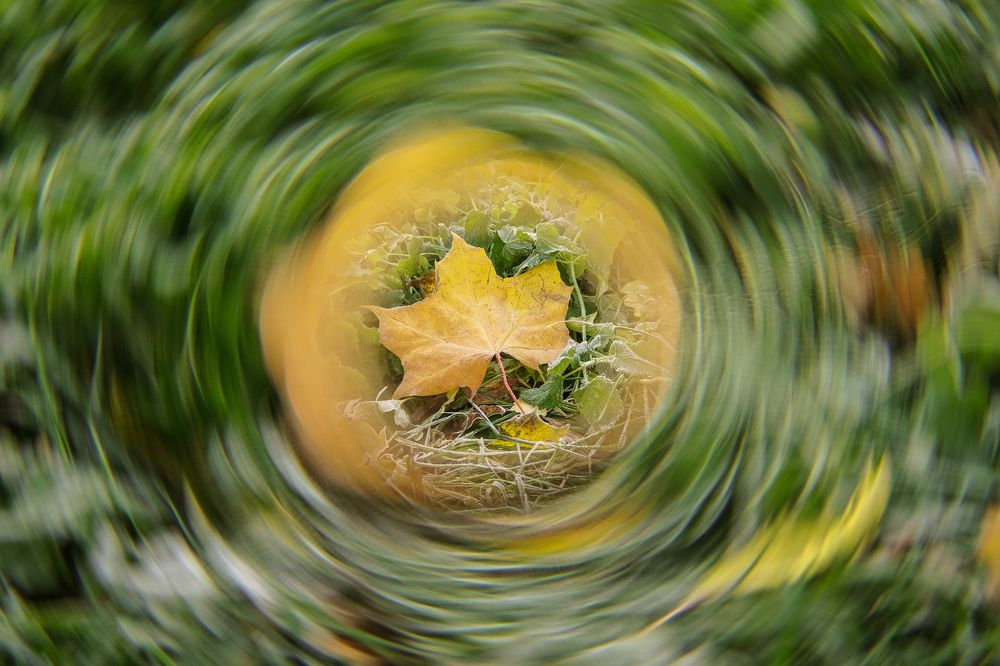 Photograph by Татьяна Бойцова