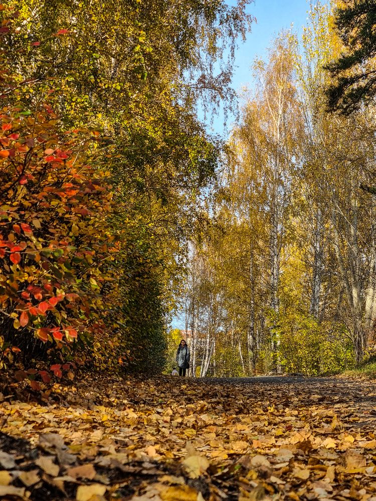 Photograph by ANDREY BATALOV