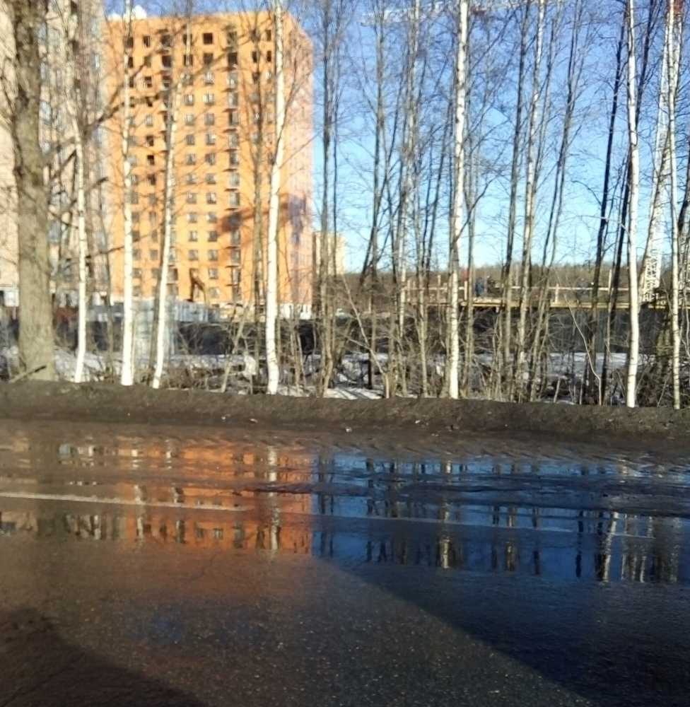 Photograph by Людмила Ковалева