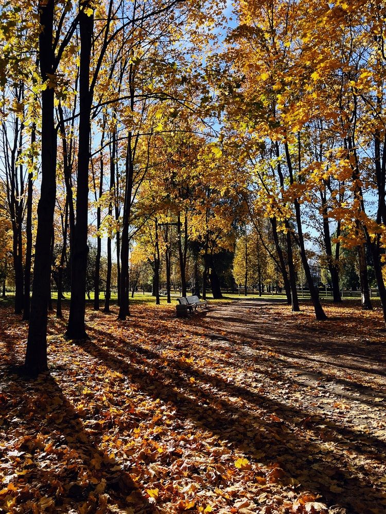 Photograph by Кристина Сидорова