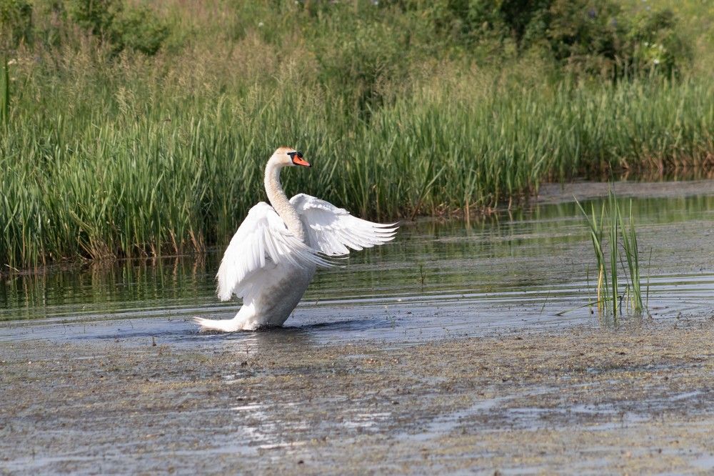 Photograph by Вера Почкалина