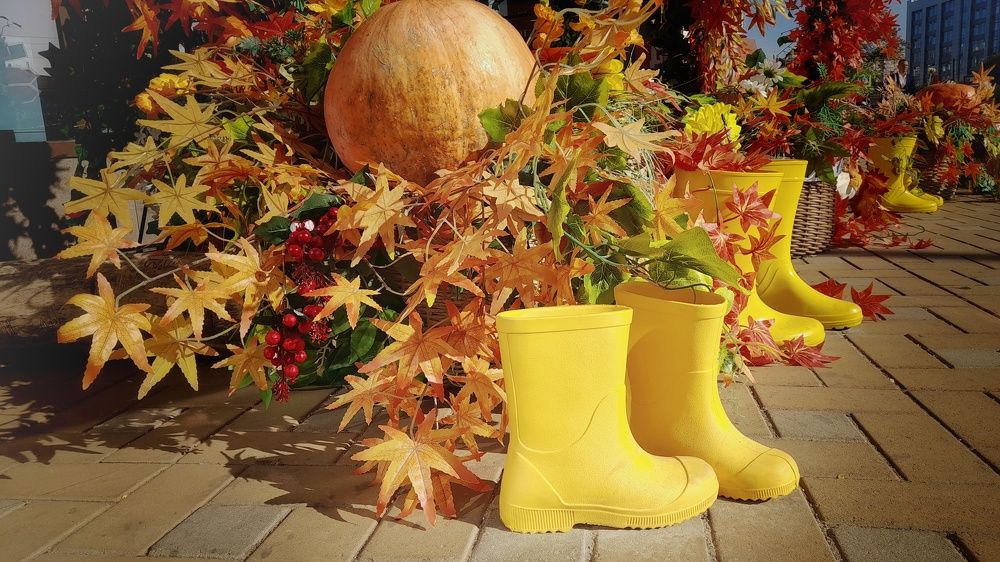 Photograph by Светлана Мазурова