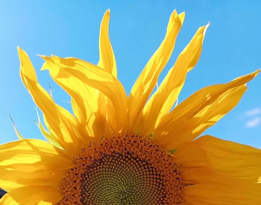 Photograph by Наталья Шумилова