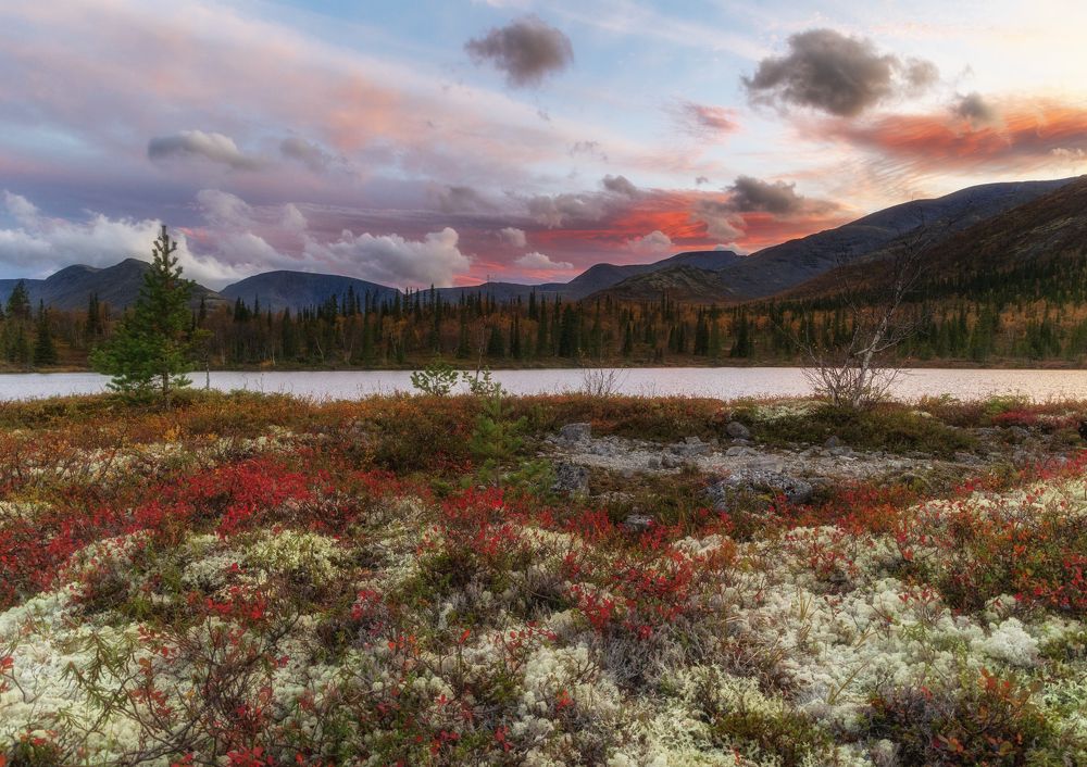 Photograph by Анна Бокова