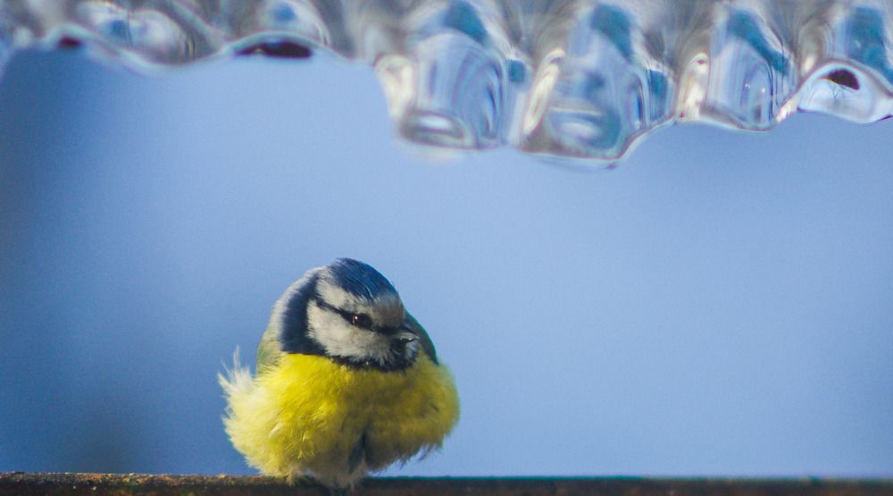 Photograph by Наталья Шумилова