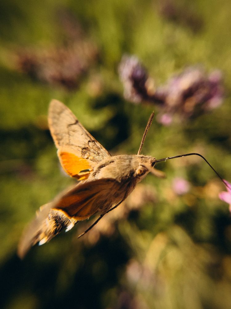 Photograph by Екатерина