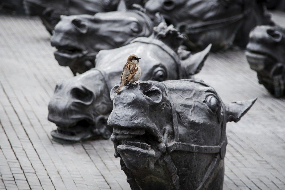 Photograph by Sergei Komlev