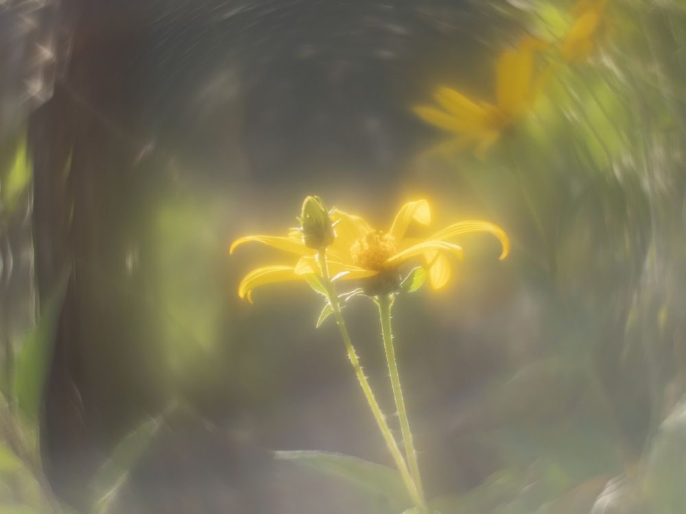 Photograph by Ignatov Yury