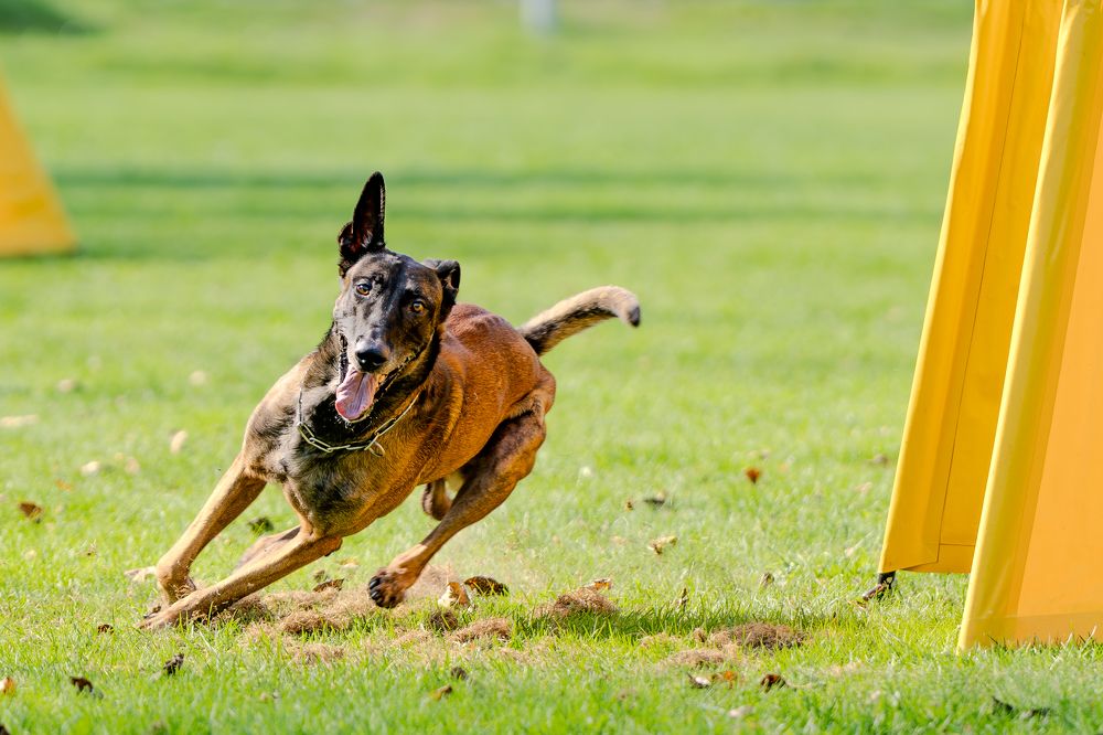 Photograph by Сергей Жиркевич