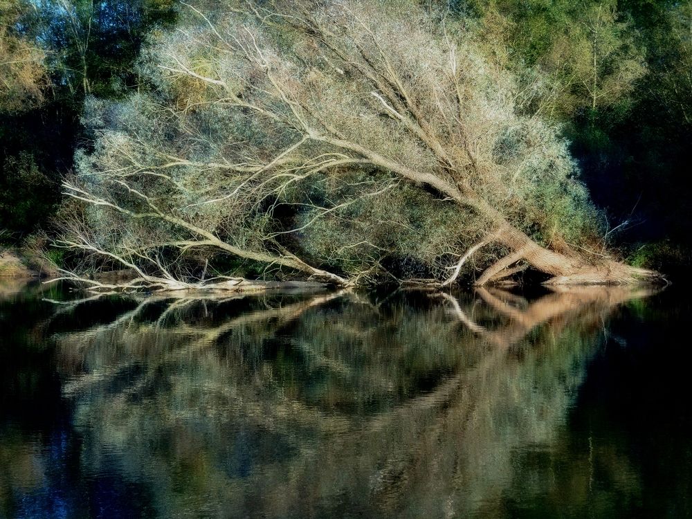 Photograph by Александр Поздняков