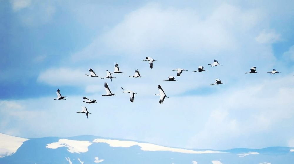 Photograph by Татьяна Кужлекова