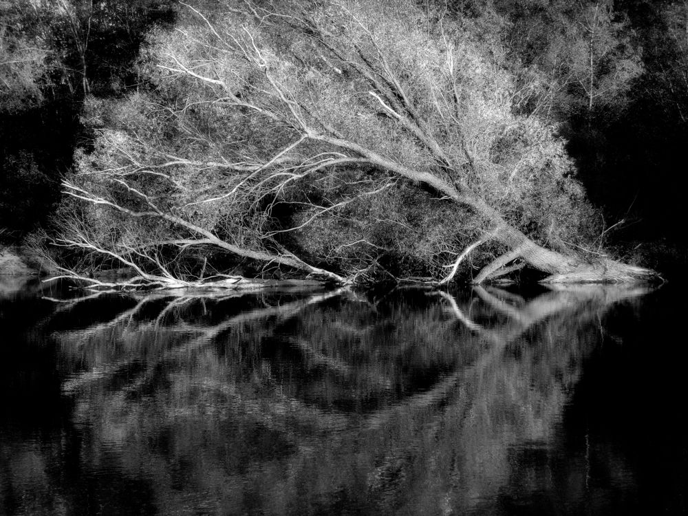 Photograph by Александр Поздняков