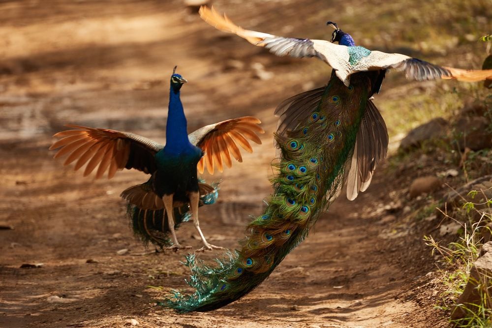 Фотография автора Boris Konovalov