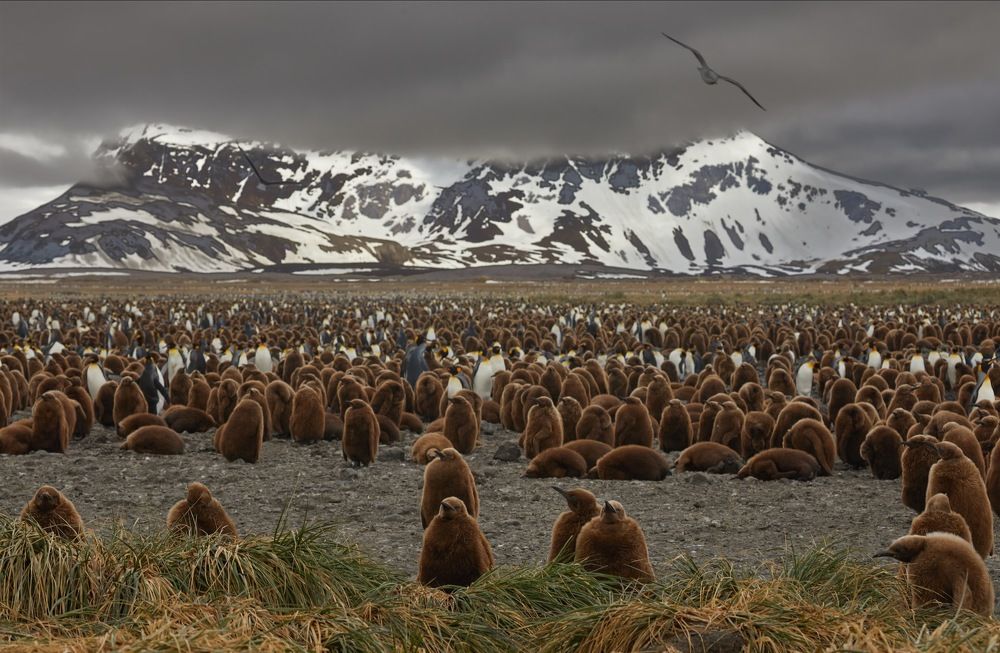 Фотография автора Boris Konovalov