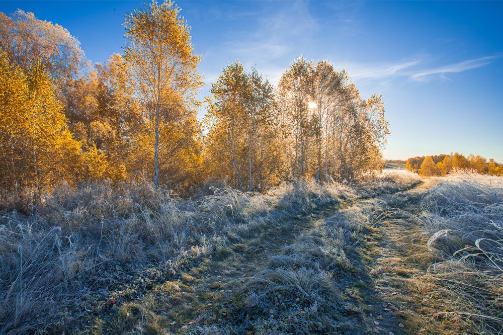 Photograph by Евгения Севрюкова