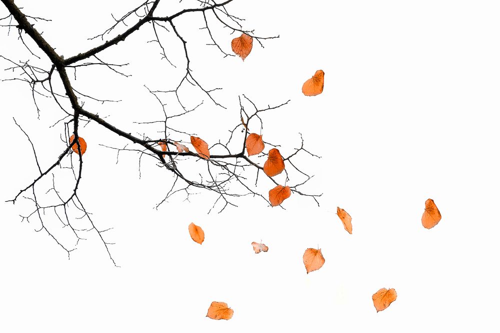 Photograph by dario camasso