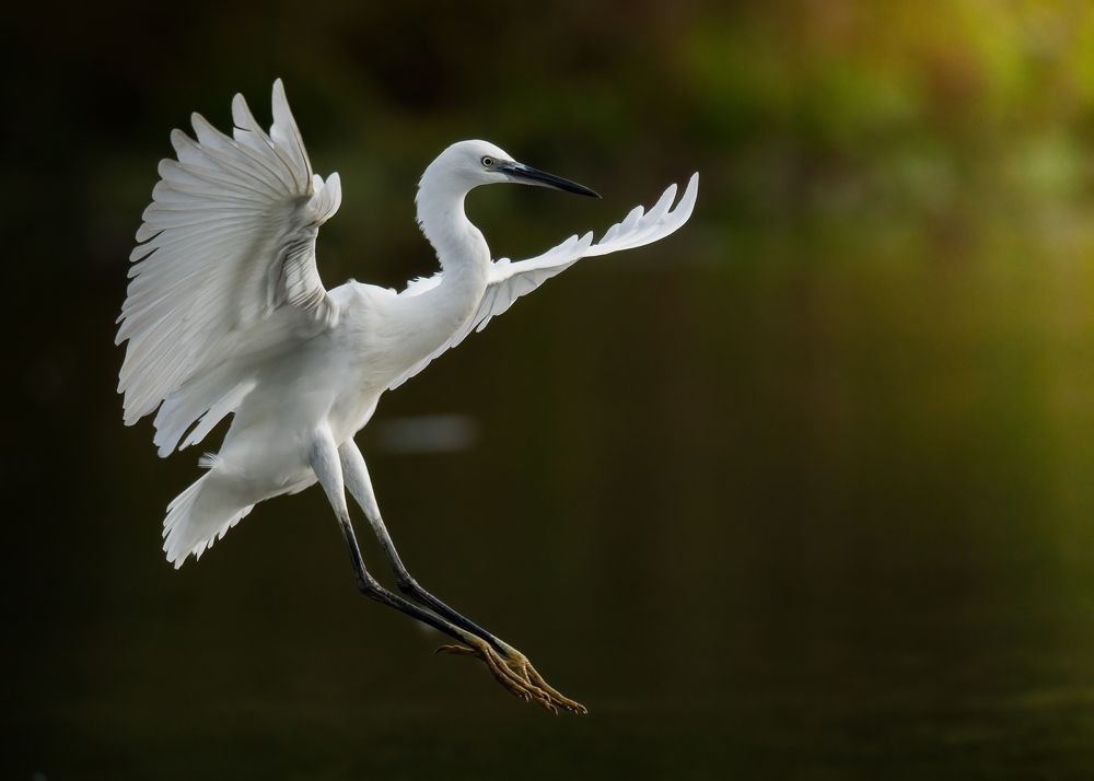 Photograph by Michael Gerhold