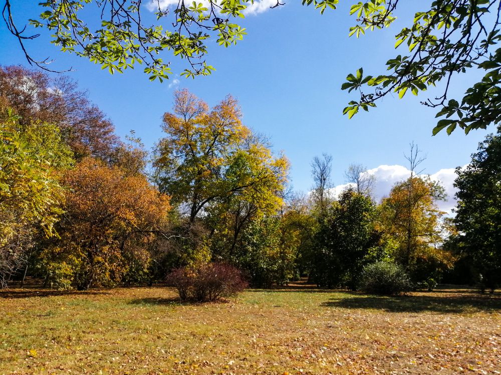 Photograph by Александра Шереметьева