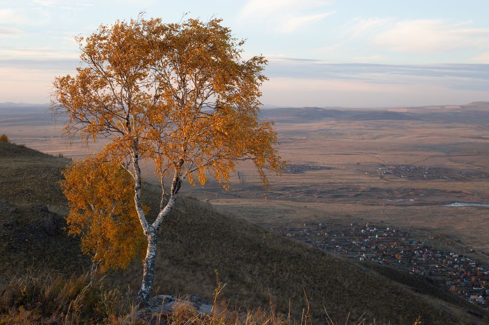 Photograph by Nadezhda Bakina