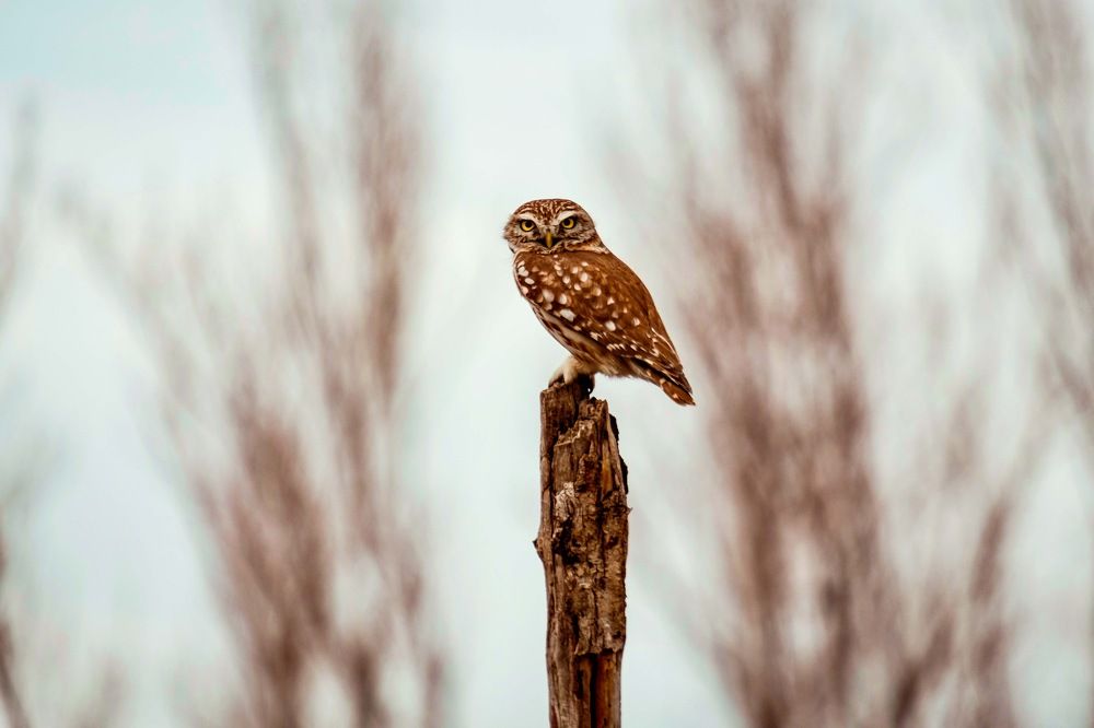 Photograph by Serdar Aydin