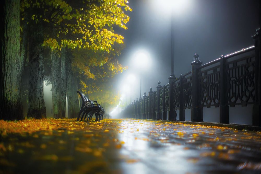 Ночные туманные сказания осени