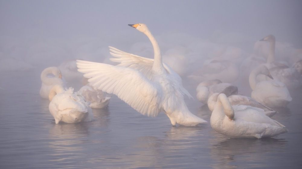 Фотография автора Boris Konovalov