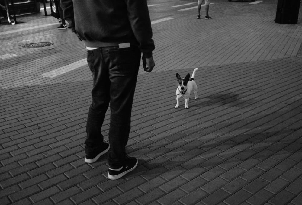 Фотография автора Олег Гумеров