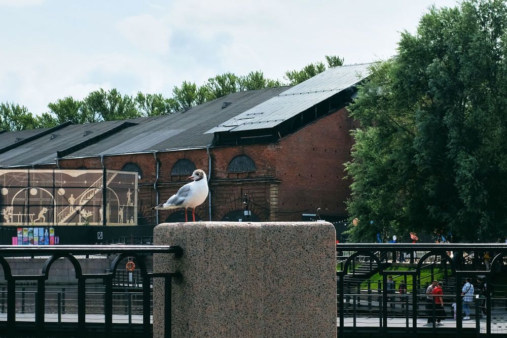 Фотография автора Олег Гумеров