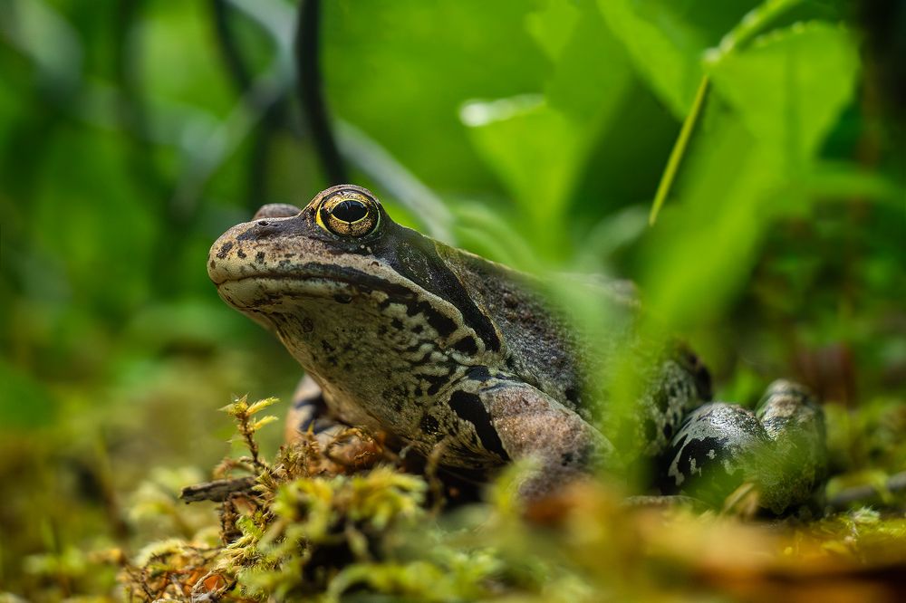 Photograph by Andrey Rut