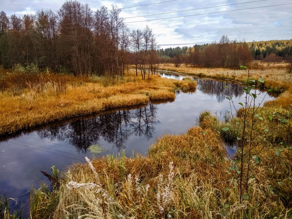 Photograph by Алёна Пшеленская