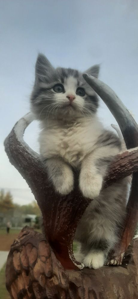 Photograph by Георгий Салюков