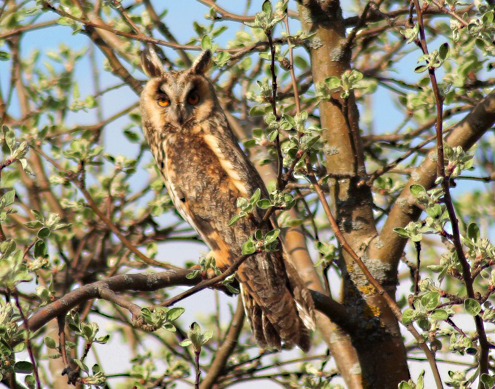 Photograph by Людмила Павловна