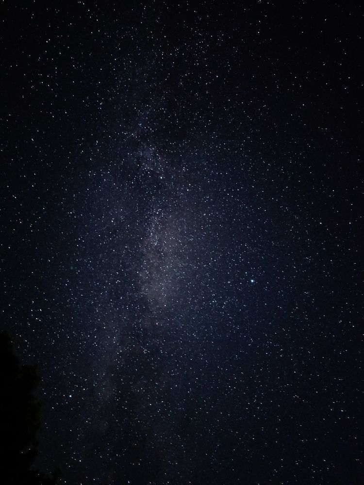 Фотография автора Ольга Шишук