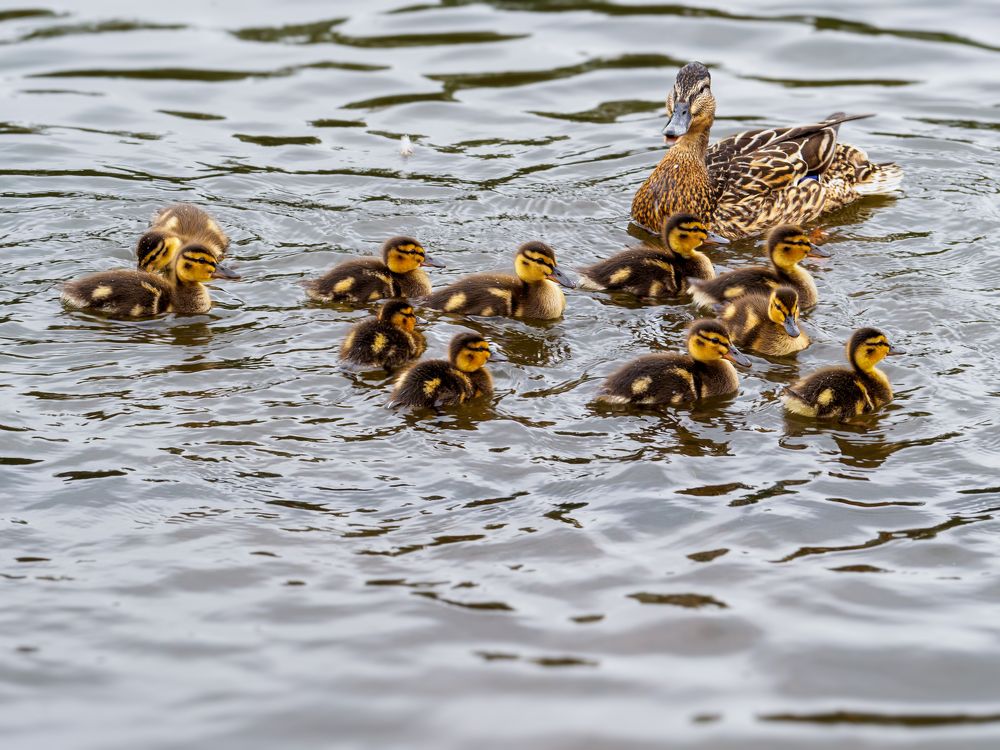 Photograph by Шейко Анна
