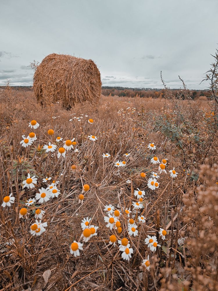 Фотография автора Ольга Шишук
