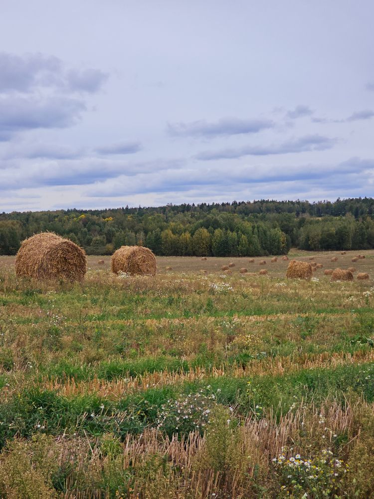 Фотография автора Ольга Шишук