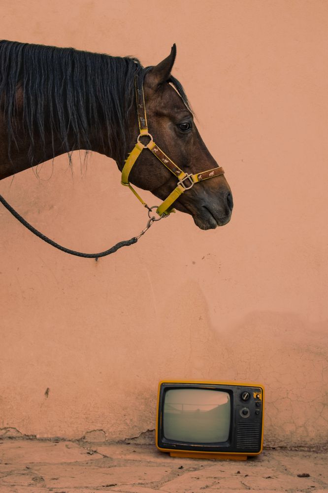 Photograph by shabnam maleki