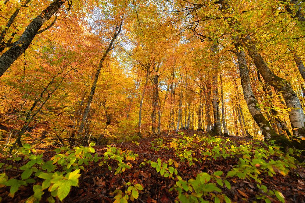 Photograph by Leonov Nikos(Nougzari)
