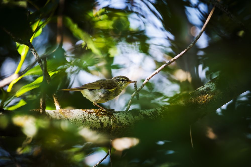 Фотография автора Уткин Дмитрий