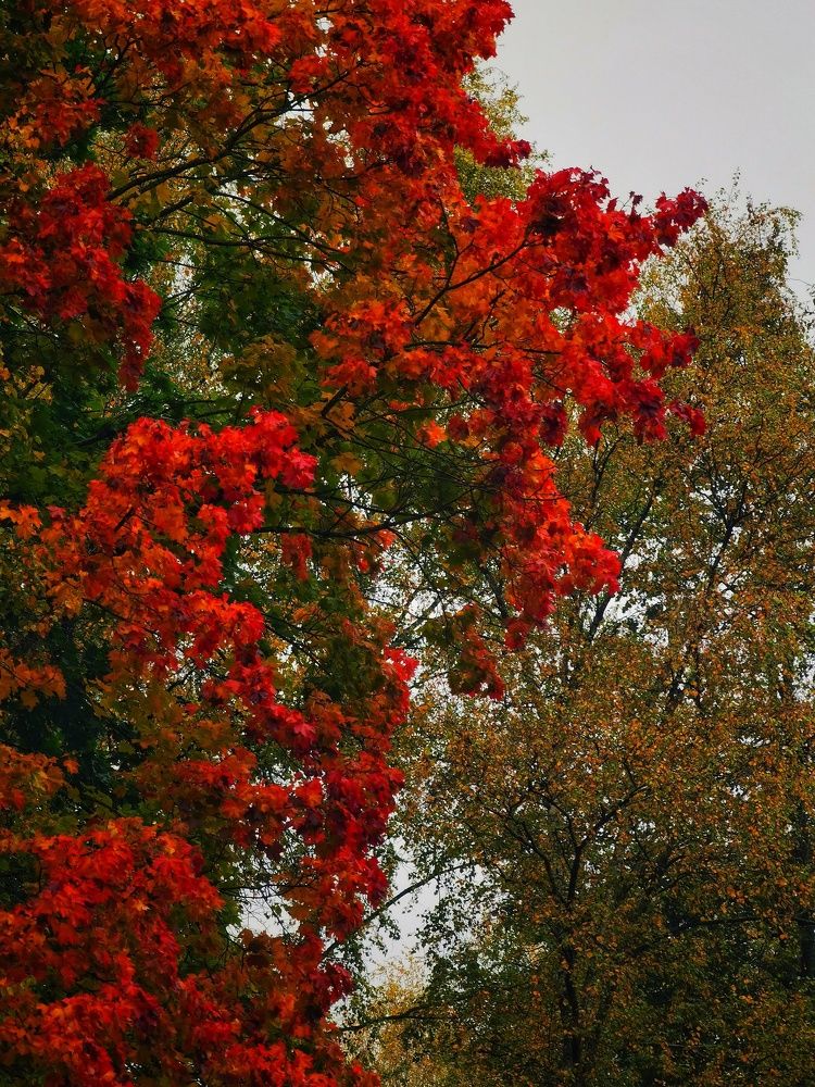 Photograph by Серафима Силина