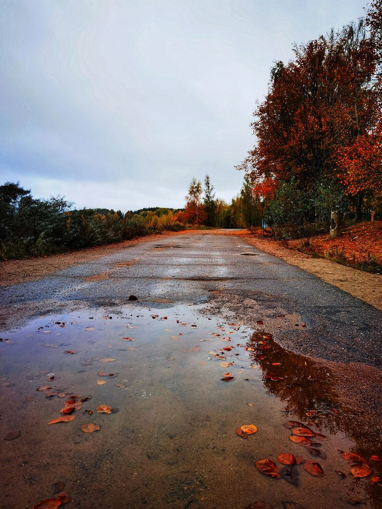 Photograph by Серафима Силина