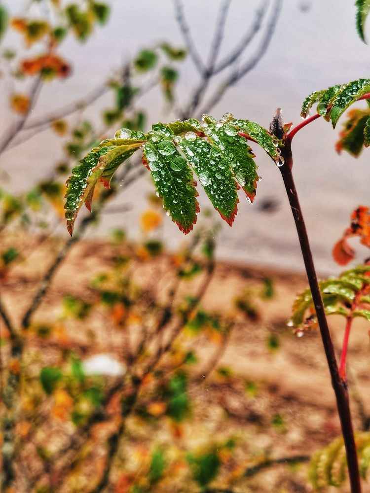 Photograph by Серафима Силина