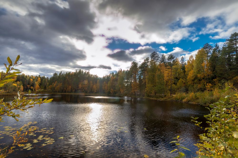 Photograph by Валентин Кузьмин