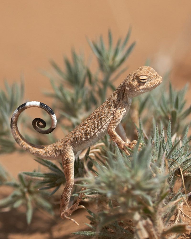 Photograph by Victor Krachkovsky