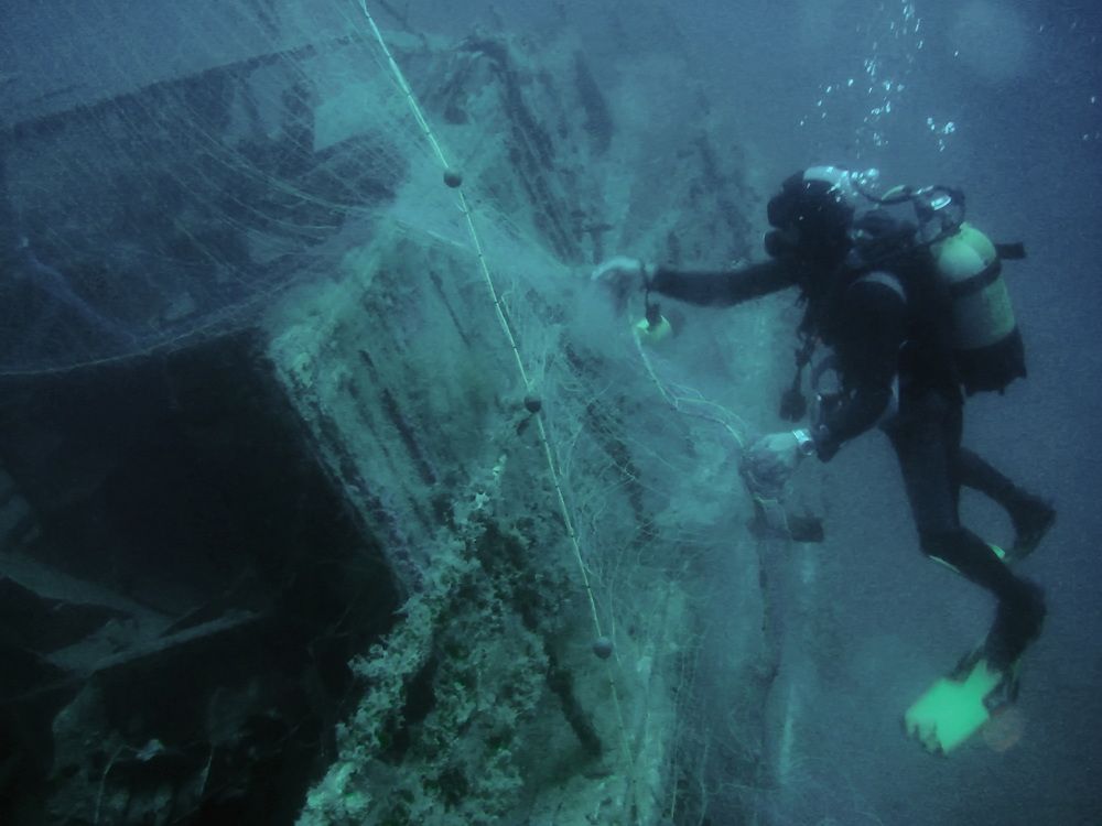 Photograph by Жиляев Евгений