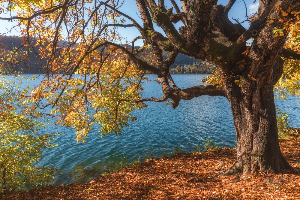 Photograph by Lara Iris