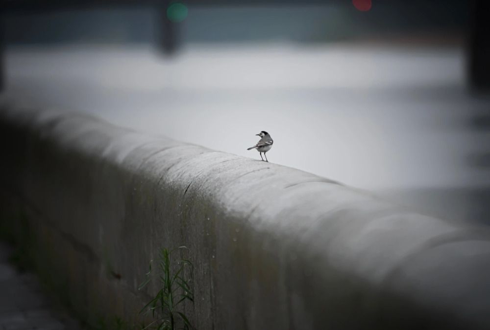 Photograph by Александр Вольхин