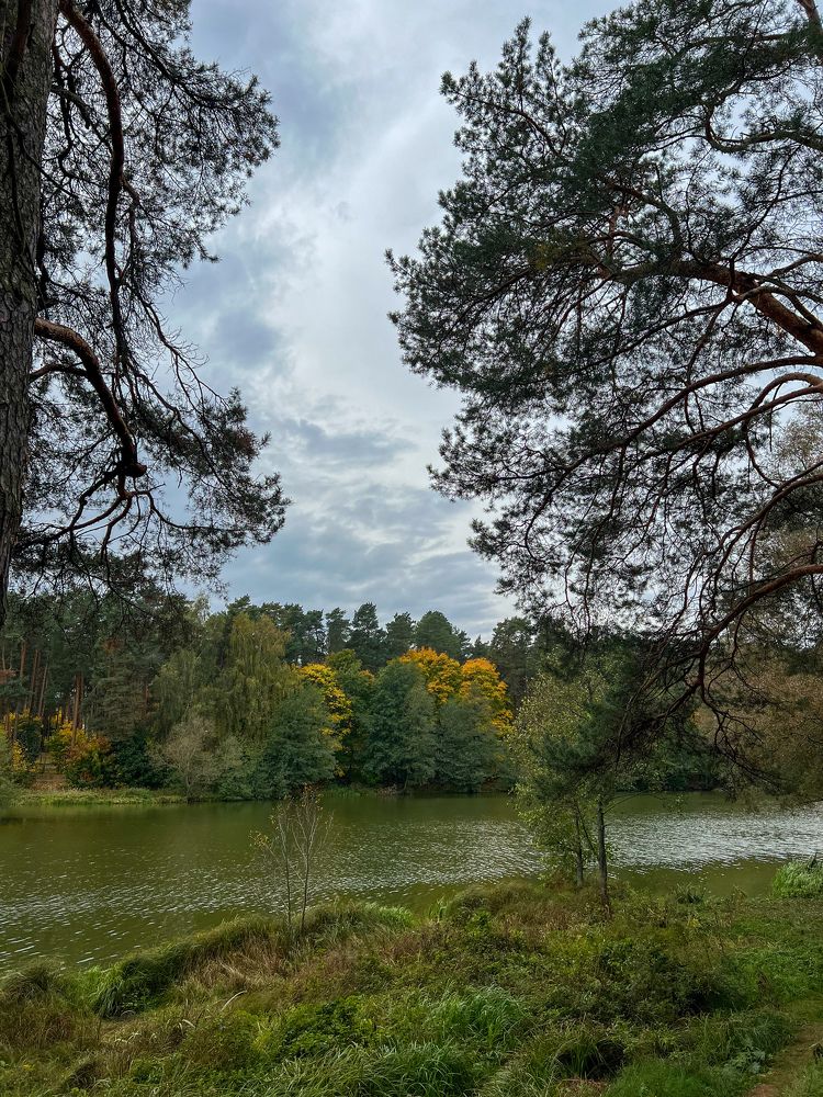 Photograph by Анастасия Германова