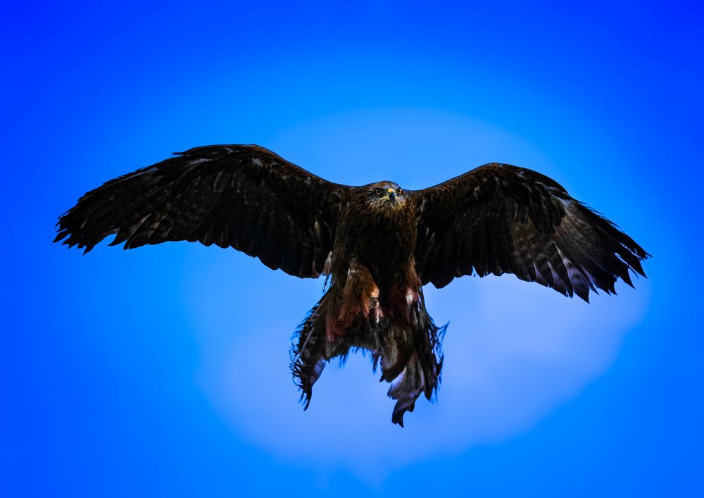 Photograph by Ahmed FahmyZa